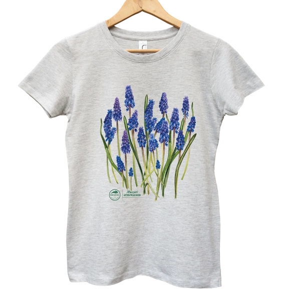 Armenian grape hyacinth — women's t-shirt