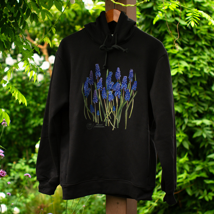 Armenian grape hyacinth — premium hoodie
