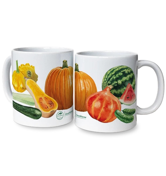 Cucurbit vegetables — classic mug