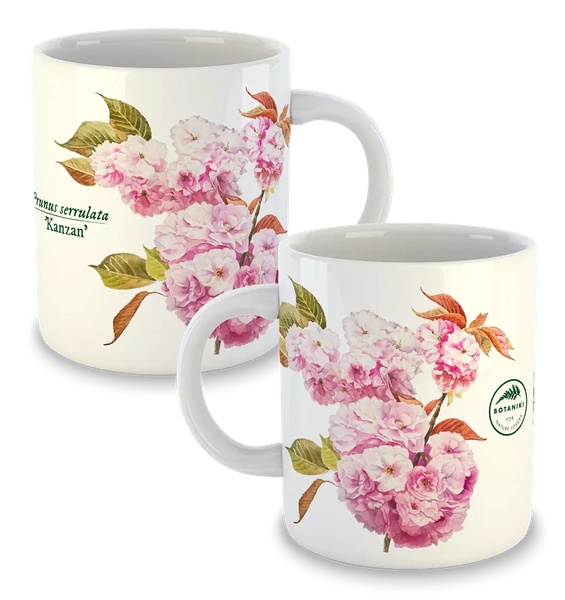 Cherry blossom 'Kanzan' — classic mug