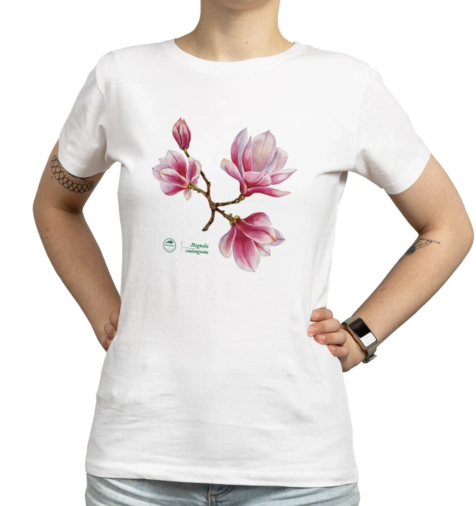 Saucer magnolia intermediate — women's t-shirt