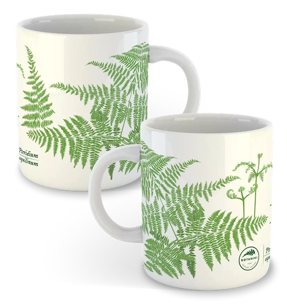 Eagle fern — classic mug