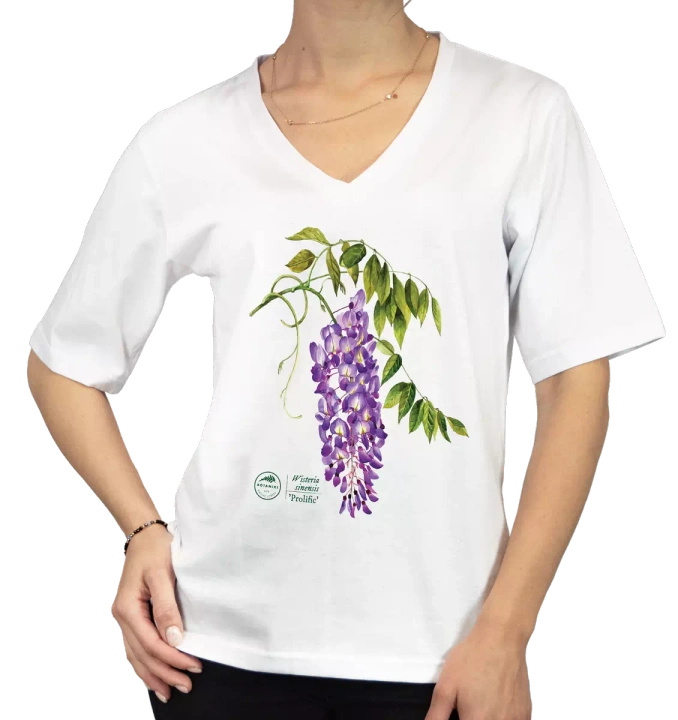 Chinese wisteria 'Prolific' — premium  t-shirt