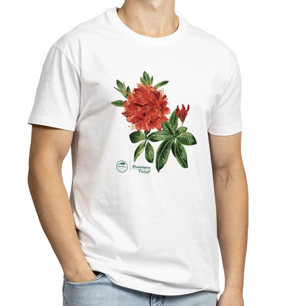 Rhododendron 'Fireball' — classic unisex t-shirt