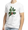 Coffea arabica — t-shirt classic