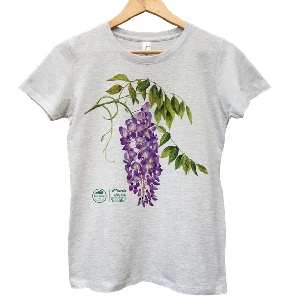 Chinese wisteria 'Prolific' — women's t-shirt