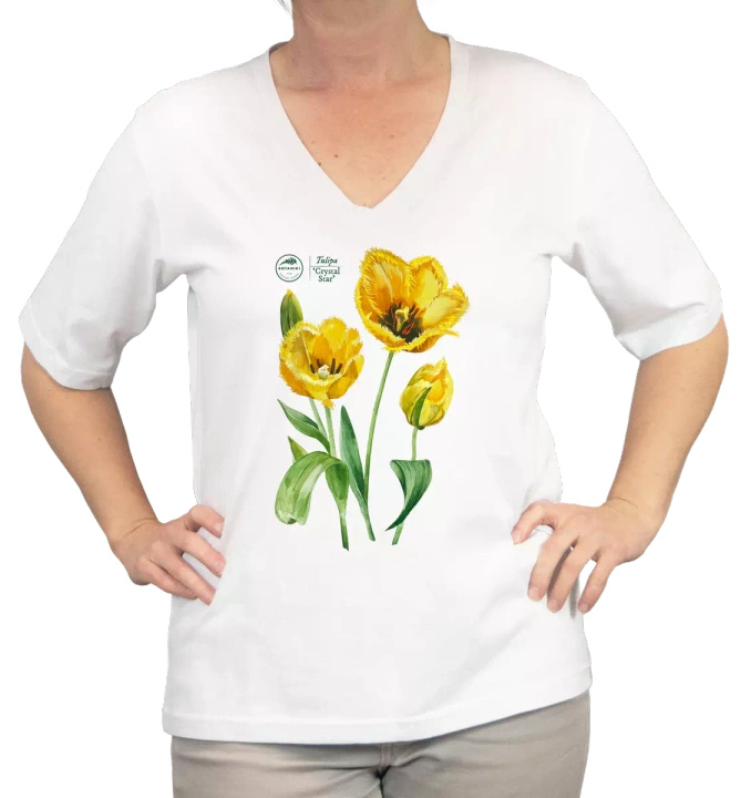 Tulips 'Crystal Star' — premium  t-shirt