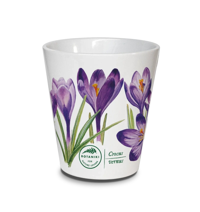 Spring crocus — latte mug
