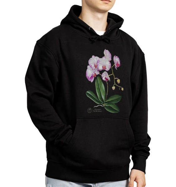 Orchid phalaenopsis — hoodie