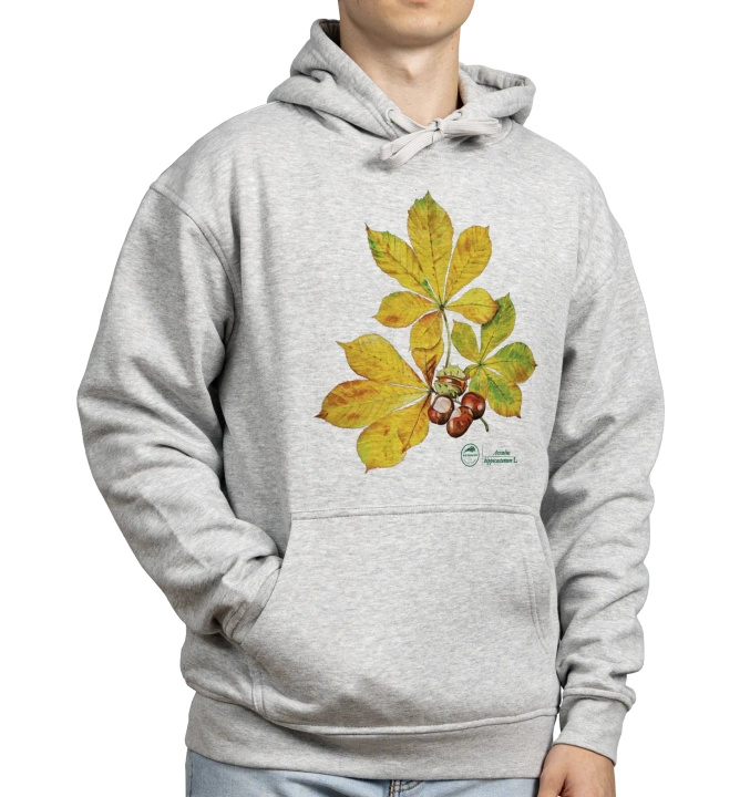 Horse chestnut — hoodie