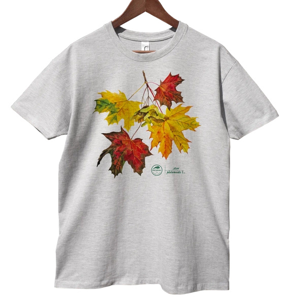 Norway maple — classic t-shirt