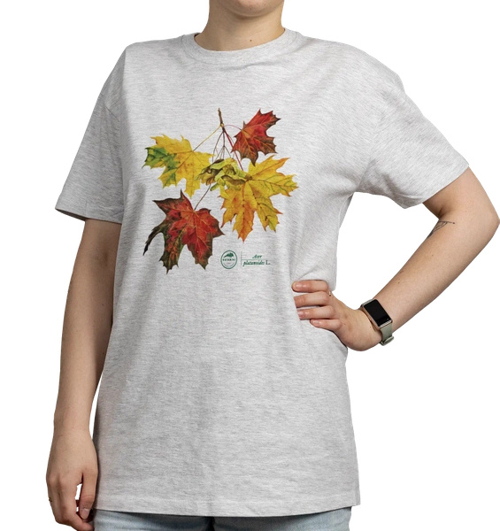 Norway maple — classic t-shirt