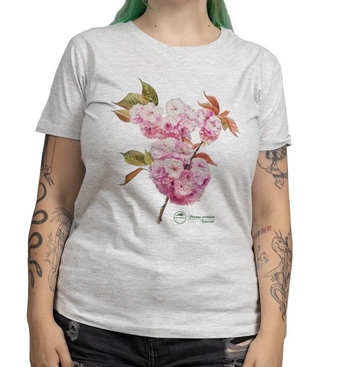 Cherry blossom 'Kanzan' — women's t-shirt