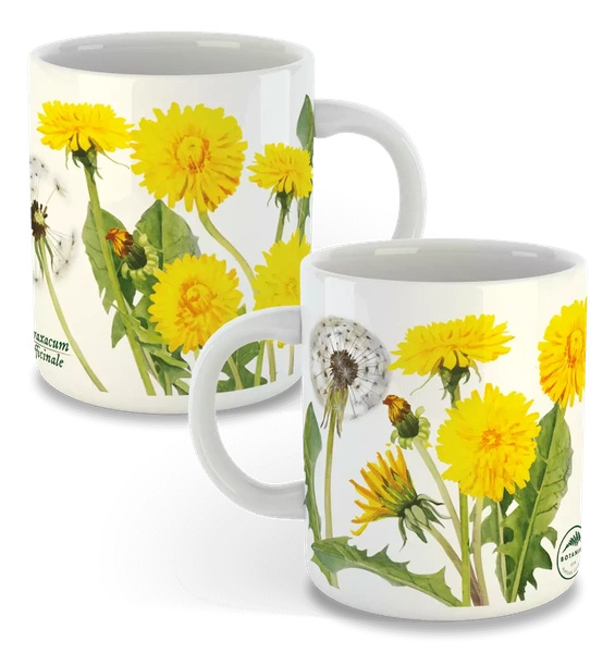 Dandelion — classic mug