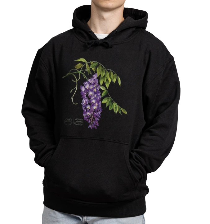Chinese wisteria 'Prolific' — hoodie