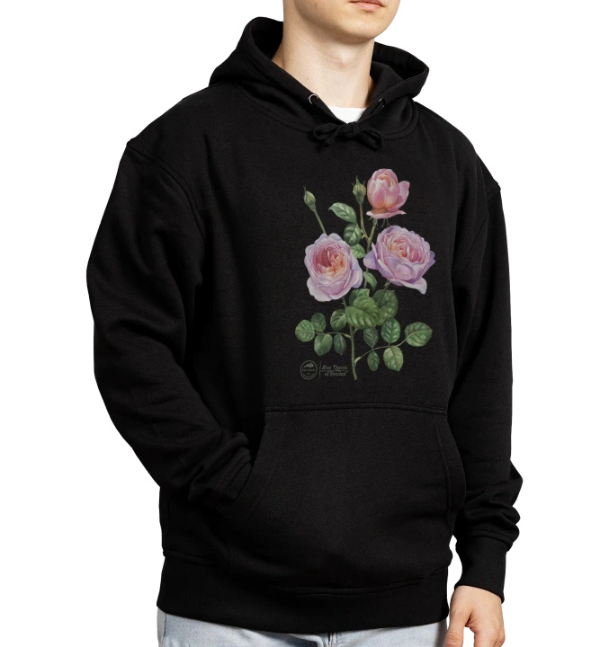 Rose 'Queen of Sweden'  — hoodie