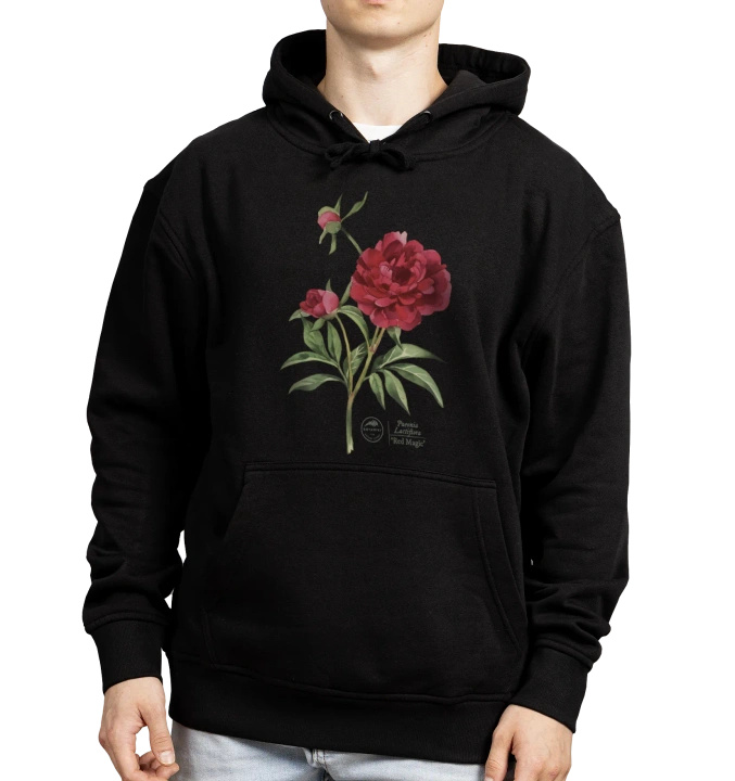 Chinese peony 'Red Magic' — hoodie