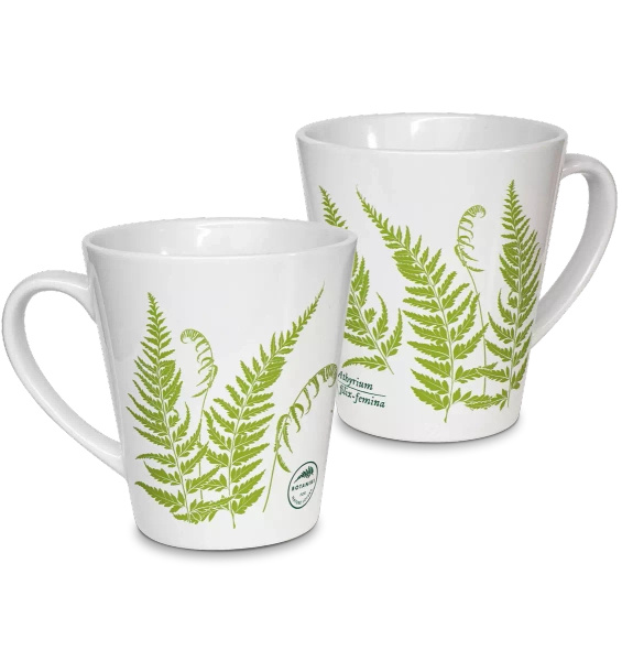 Lady fern — latte mug