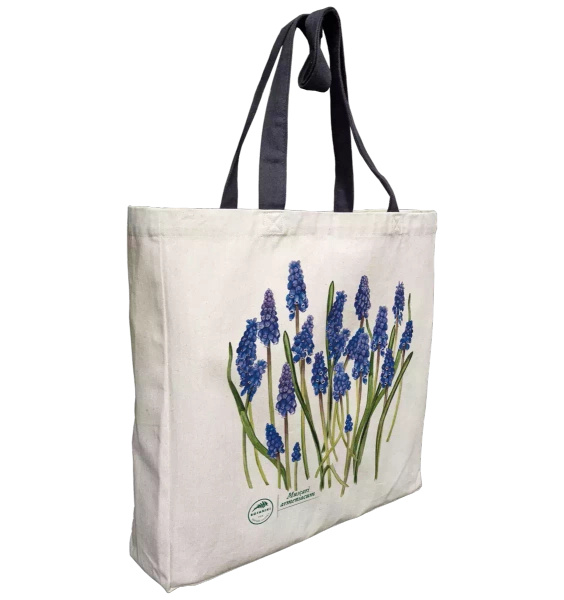 Armenian grape hyacinth — premium cotton bag