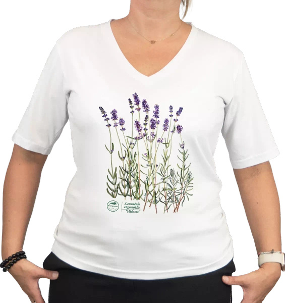 Lavender 'Hidcote' — premium  t-shirt