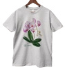 Orchid phalaenopsis — classic unisex t-shirt