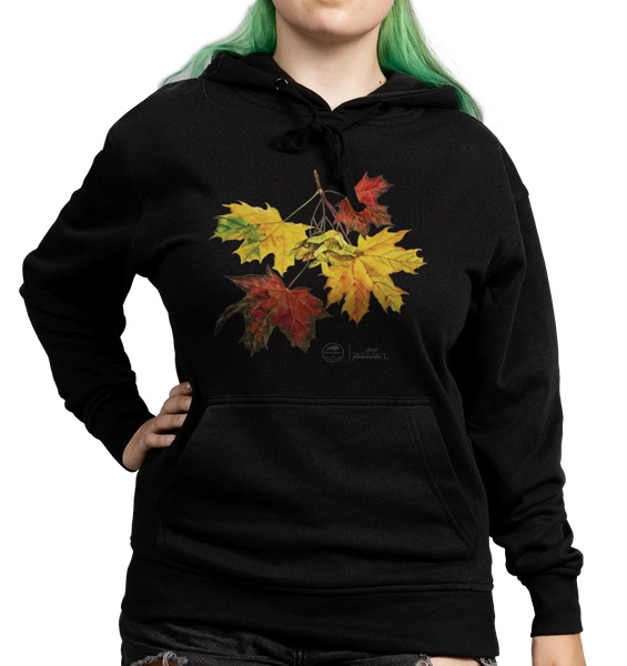 Norway maple — hoodie