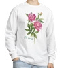 Chinese peony 'Sorbet' — long sleeve t-shirt