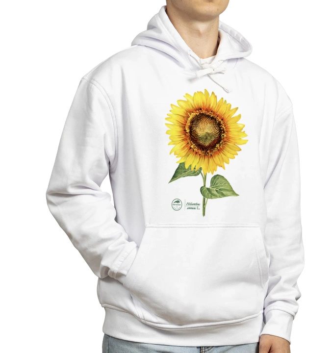 Common sunflower — hoodie