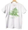 Eagle fern — t-shirt classic