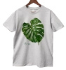 Swiss cheese plant — t-shirt classic