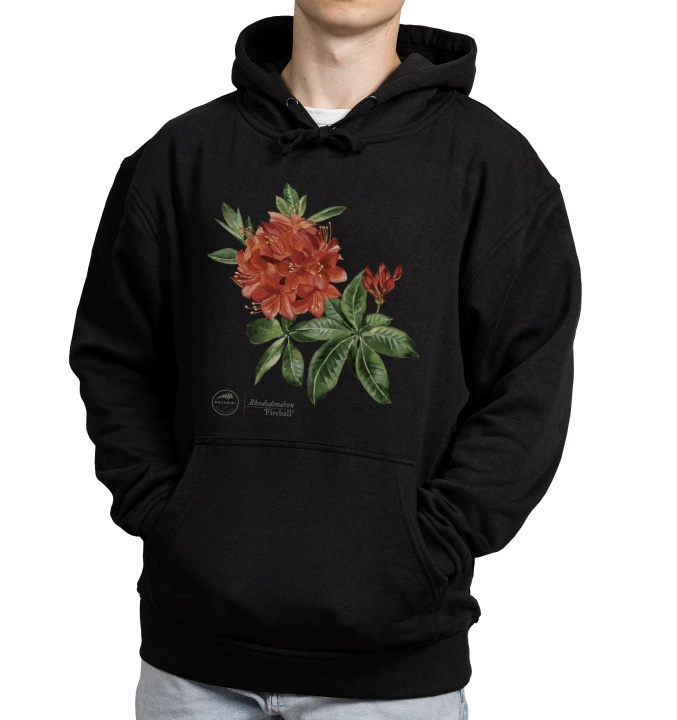 Rhododendron 'Fireball' — hoodie