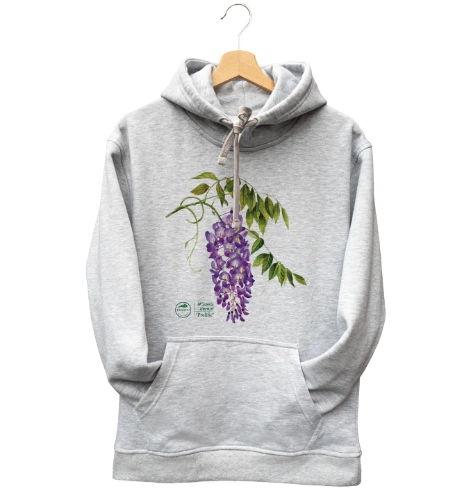 Chinese wisteria 'Prolific' — hoodie