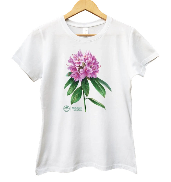 Catawba rosebay — women's t-shirt