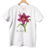 Summer Wine daylilies — classic t-shirt