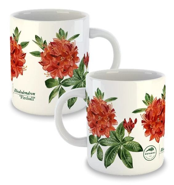 Rhododendron 'Fireball' — classic mug