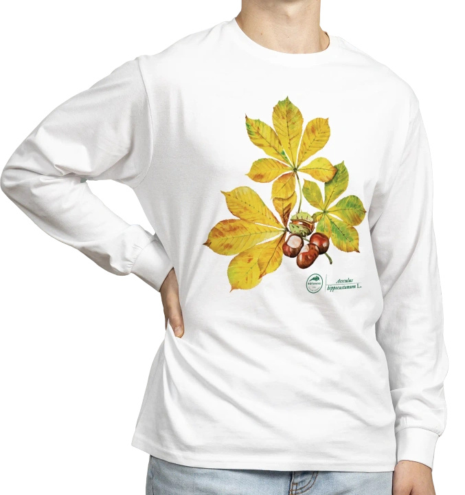 Horse chestnut — long sleeve t-shirt