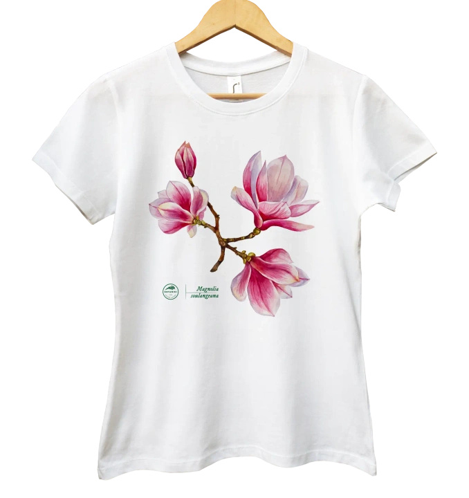 Saucer magnolia intermediate — women's t-shirt