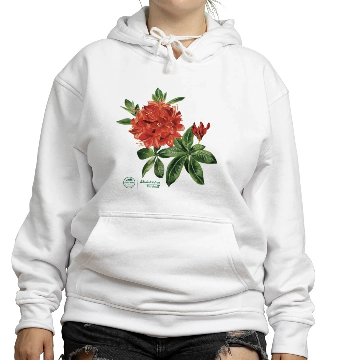 Rhododendron 'Fireball' — hoodie