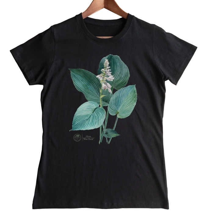 Hosta 'Blue Rock' — women's t-shirt