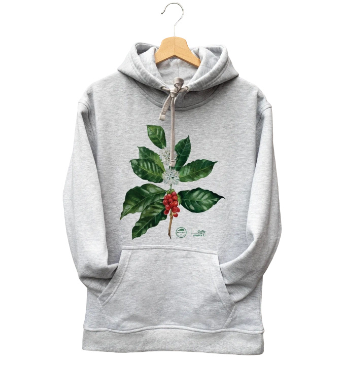 Coffea arabica — hoodie