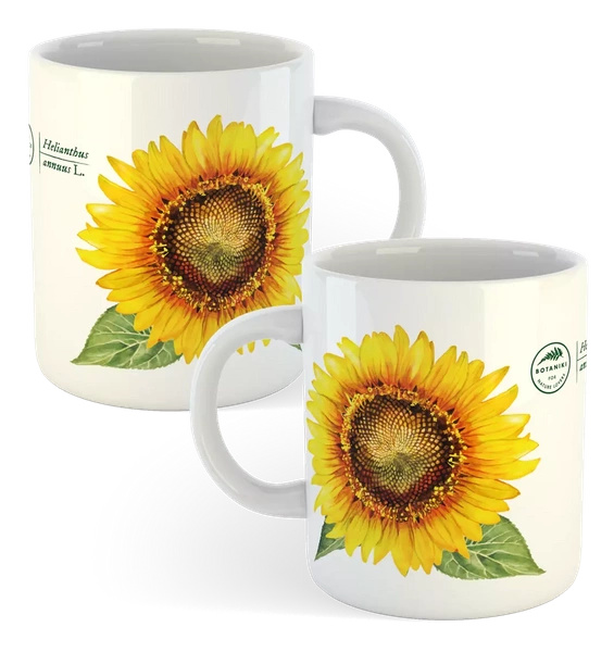 Common sunflower — classic mug gift for a gardener