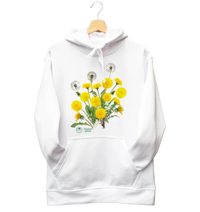 Dandelion — hoodie