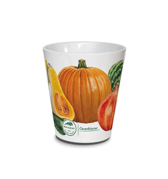 Cucurbit vegetables — latte mug