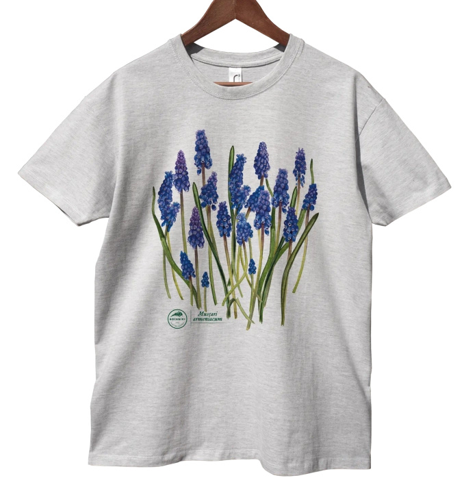 Armenian grape hyacinth — classic t-shirt
