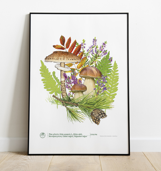 Autumn treasures of the woods — plant motif poster