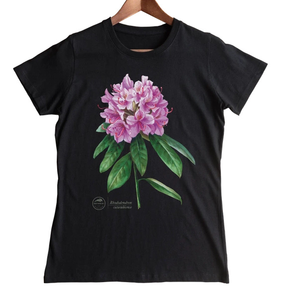 Catawba rosebay — women's t-shirt