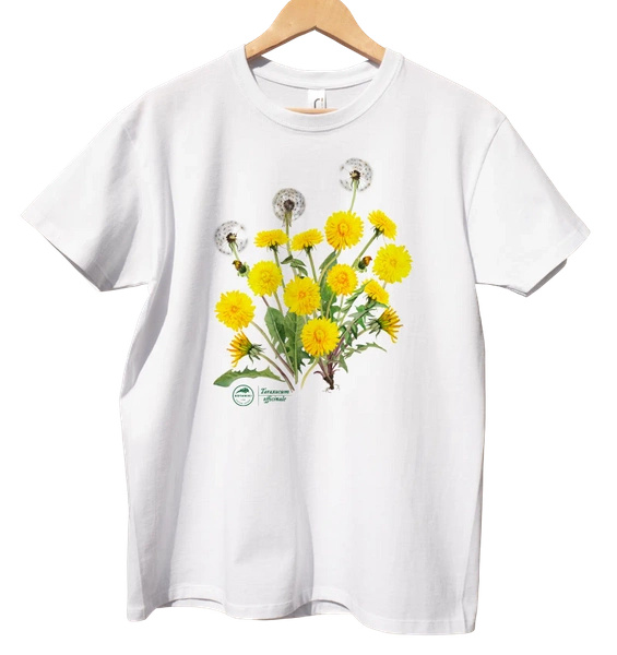 Dandelion — classic t-shirt