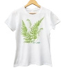 Lady fern — ladies t-shirt