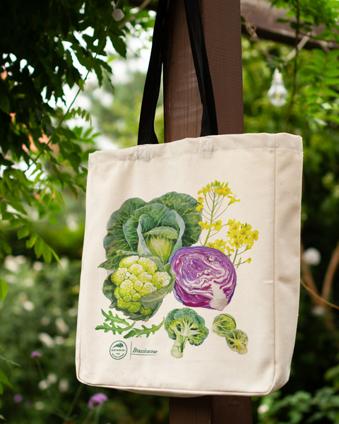 Cruciferous vegetables — premium cotton bag