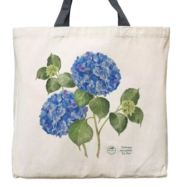 Hydrangea 'Jip Blue' — premium cotton bag